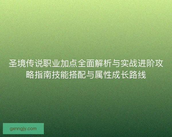 圣境传说职业加点全面解析与实战进阶攻略指南技能搭配与属性成长路线