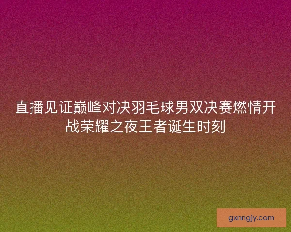 直播见证巅峰对决羽毛球男双决赛燃情开战荣耀之夜王者诞生时刻