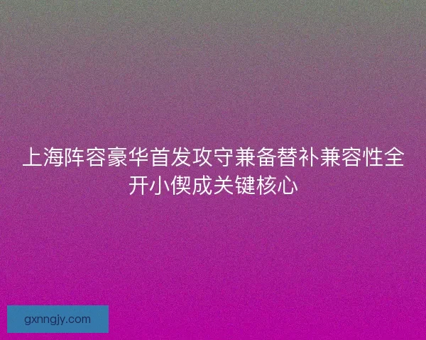 上海阵容豪华首发攻守兼备替补兼容性全开小偰成关键核心