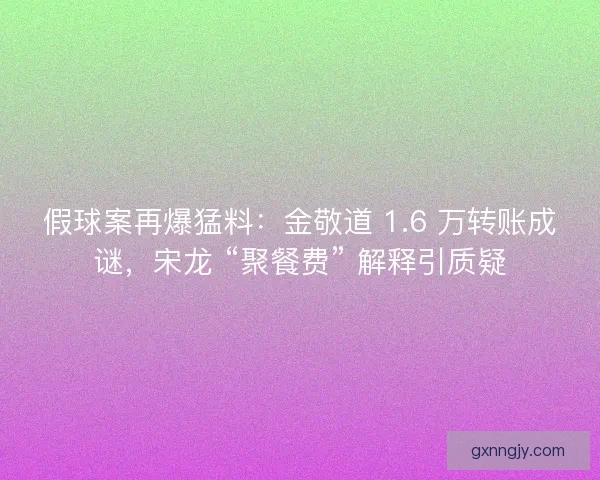 假球案再爆猛料：金敬道 1.6 万转账成谜，宋龙 “聚餐费” 解释引质疑