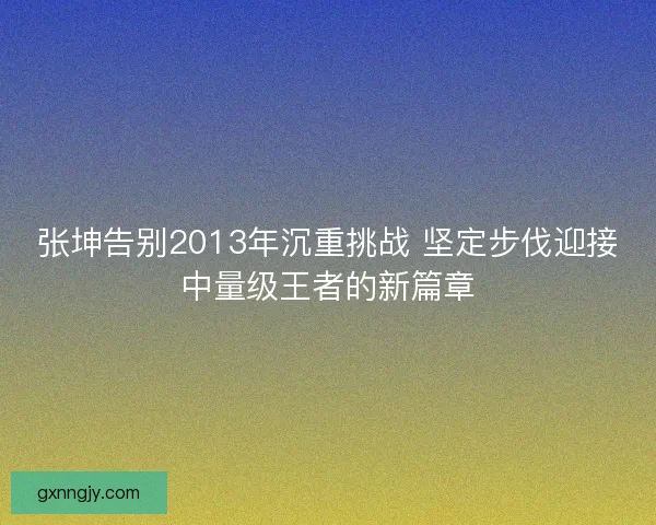 张坤告别2013年沉重挑战 坚定步伐迎接中量级王者的新篇章