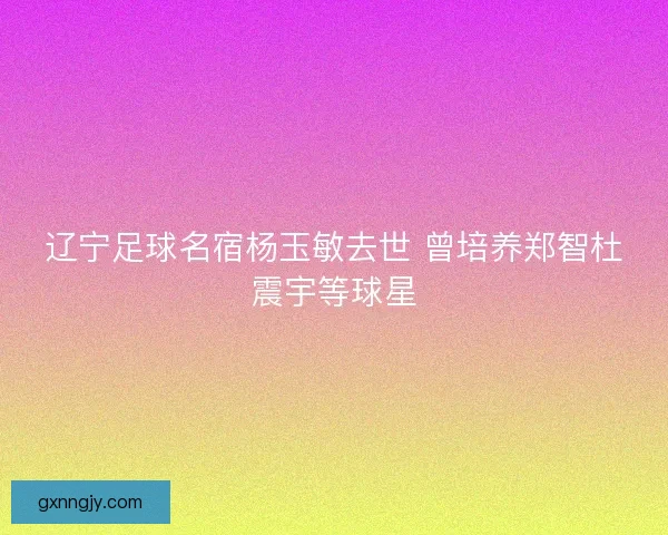 辽宁足球名宿杨玉敏去世 曾培养郑智杜震宇等球星